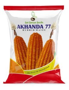 akhanda 77
