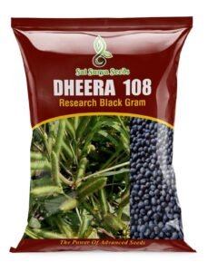 dheera 108