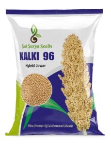 kalki 96