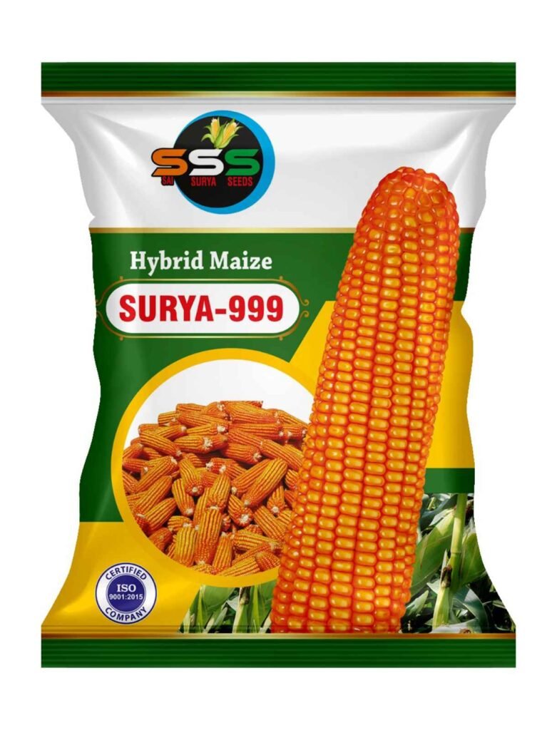 surya 999