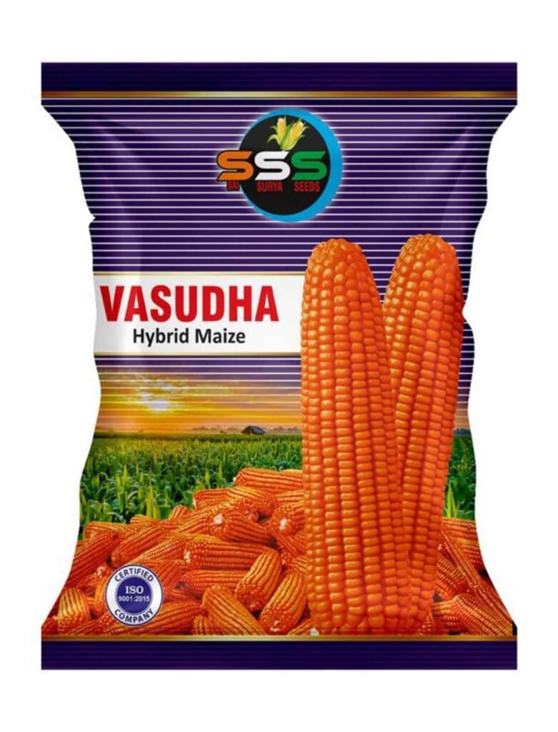 vasudha
